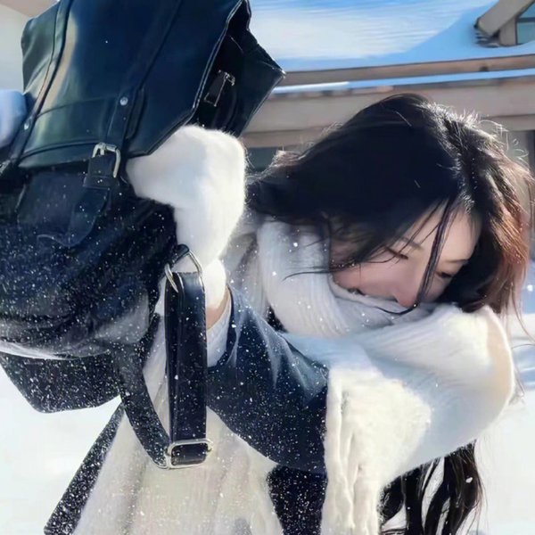 哈比比与艾侬 海报